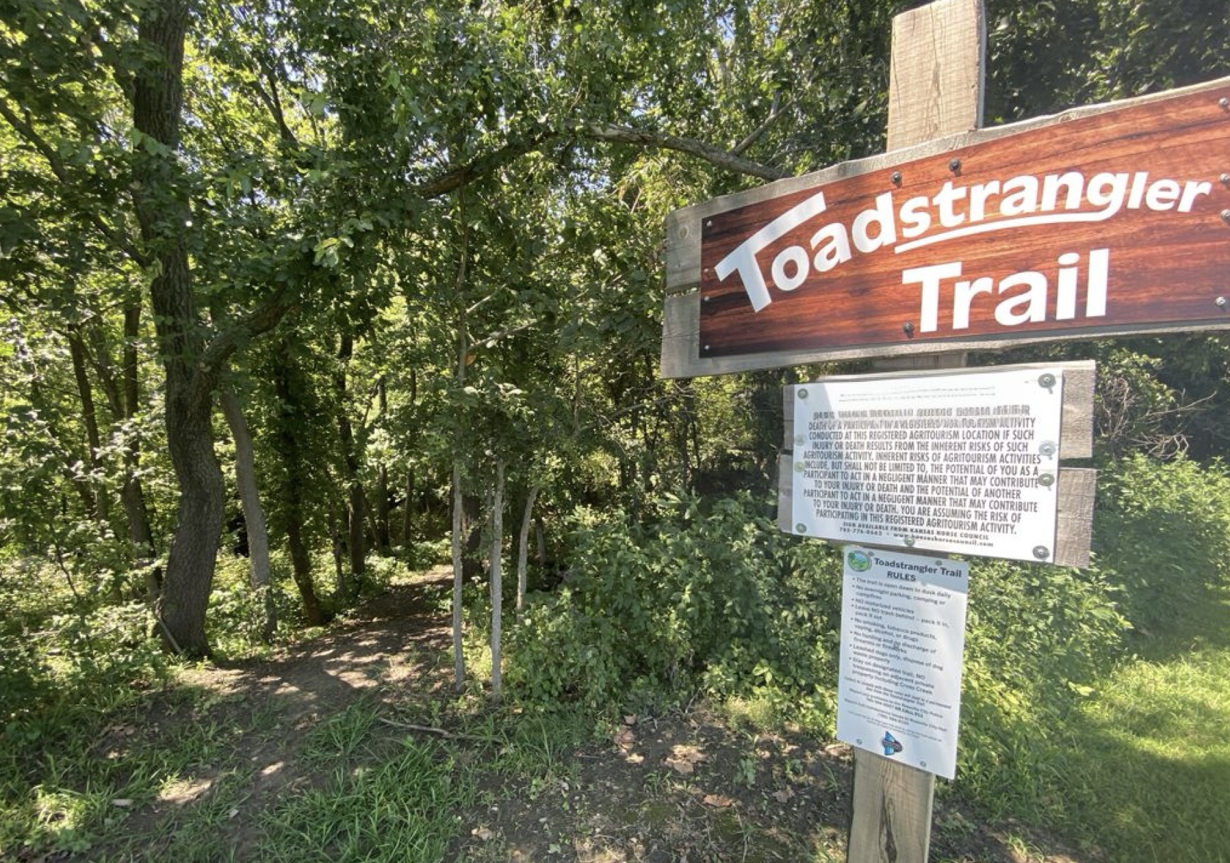 ToadstranglerTrail.jpeg