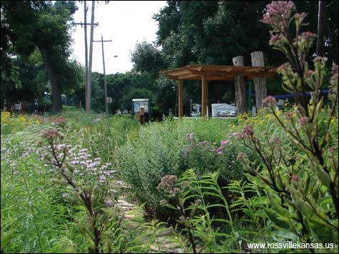 Rossville Rain Garden